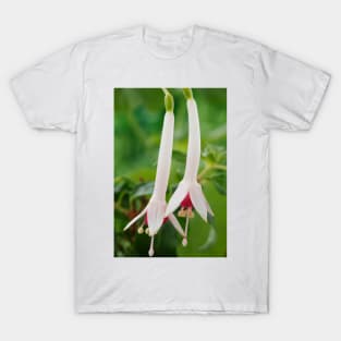 Fuchsia  'Roger de Cooker'  Triphylla T-Shirt